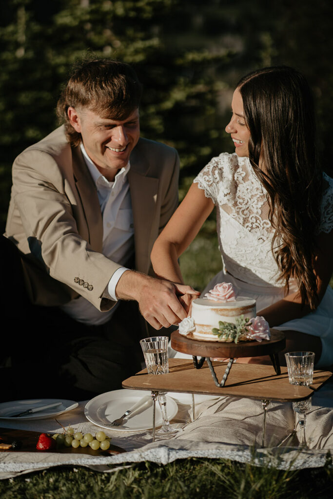 A newlywed couple having a picnic and cutting the cake. 