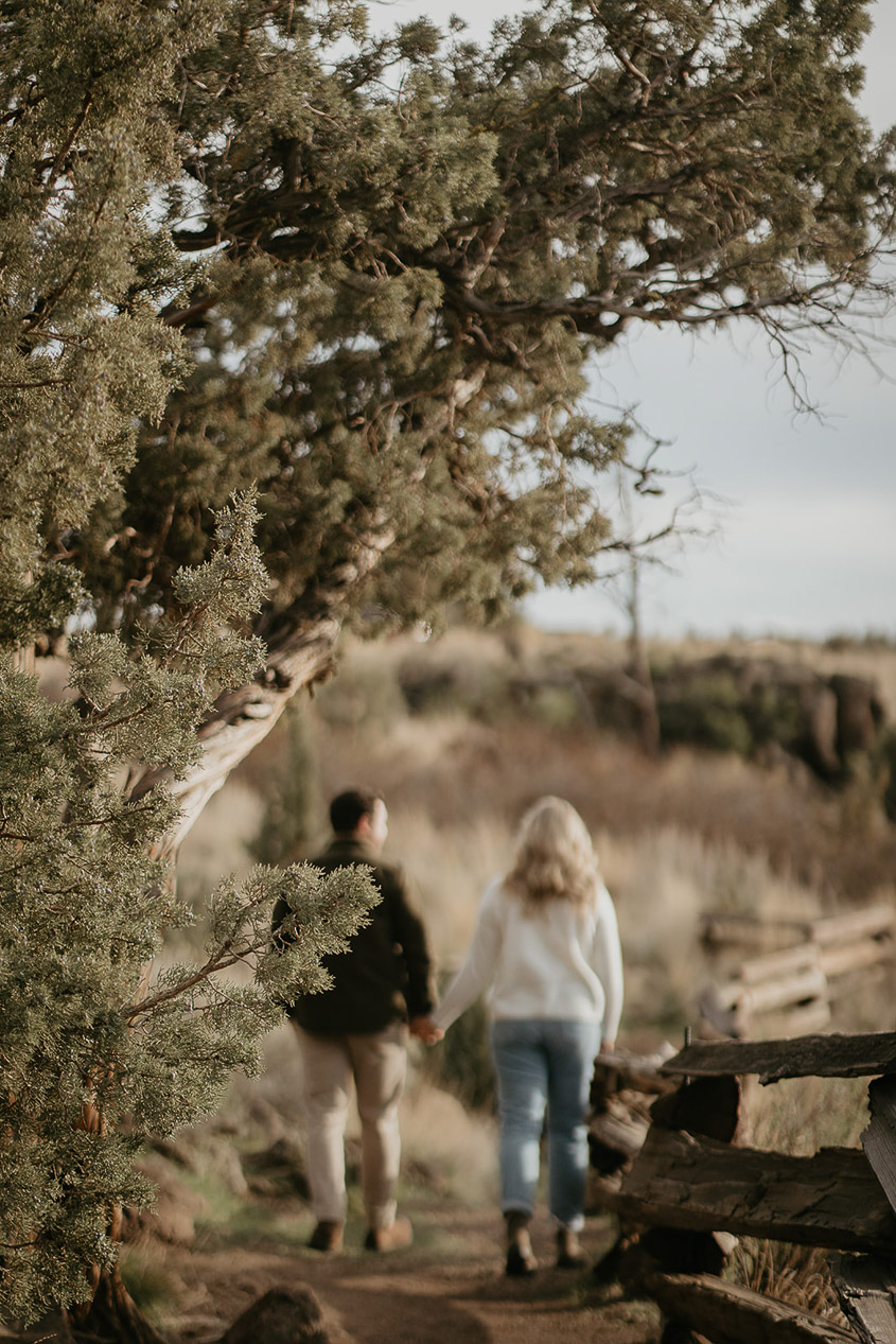 A couple holding hands walking away from the camera on a trail. 