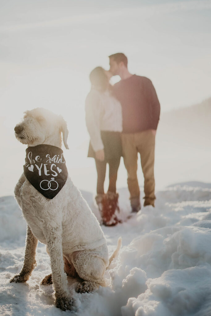 A couple kissing at snowy Trillium Lake with their dog in the foreground. 