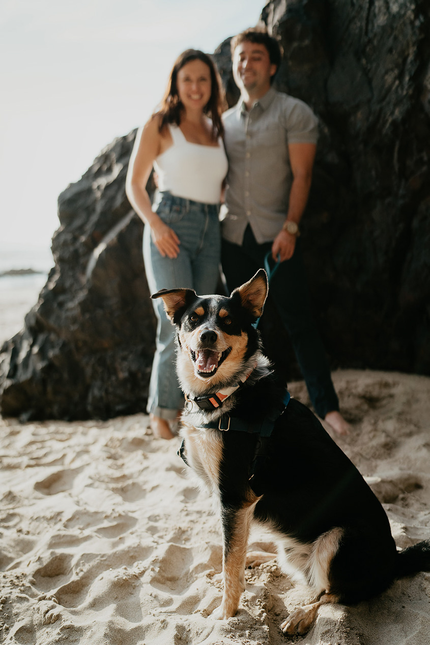 A couple smiling and standing on the sand with their dog.