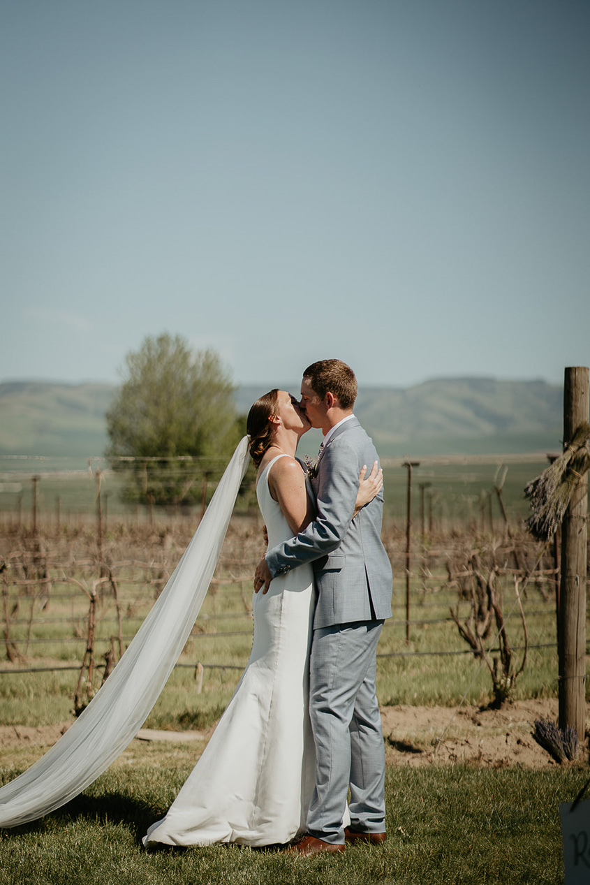 the bride and groom kissing at Dusted Valley with grape vines in the background. 