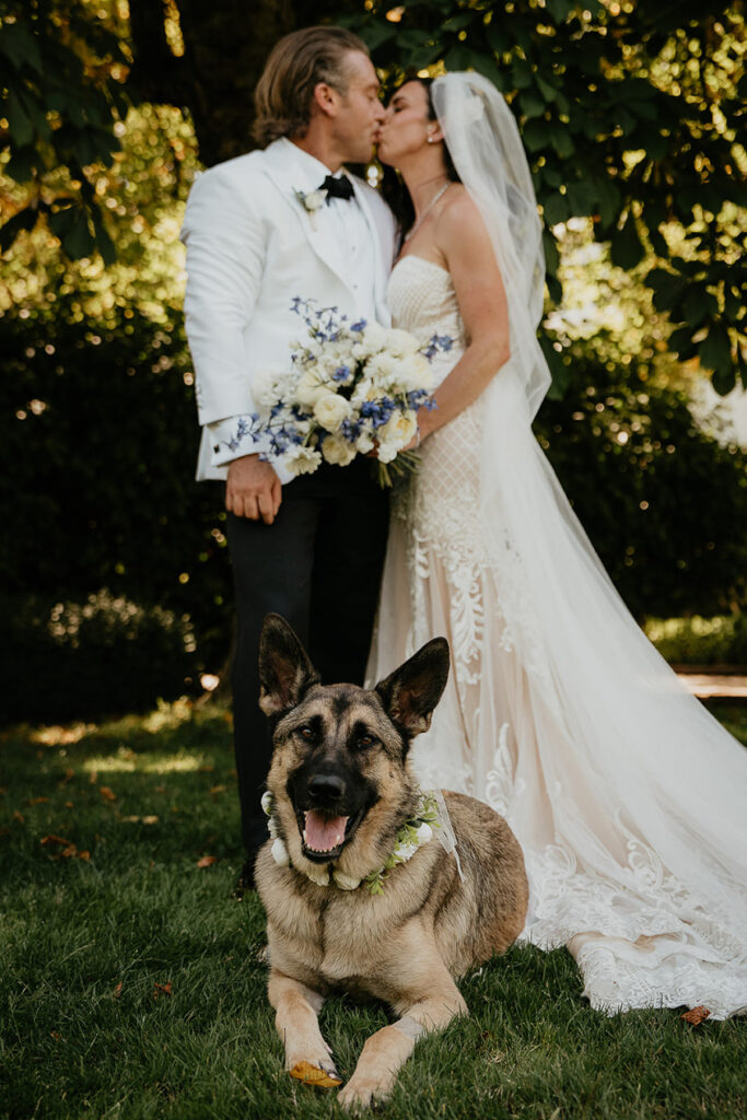 the bride and groom kissing while their dog sits in front of them. 