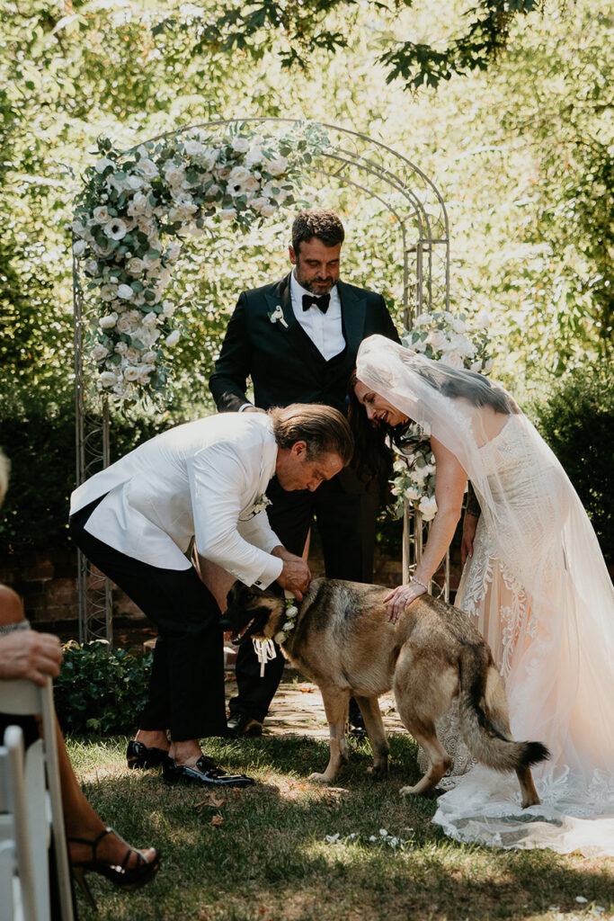 the groom gathering the wedding rings from their dog's collar. 