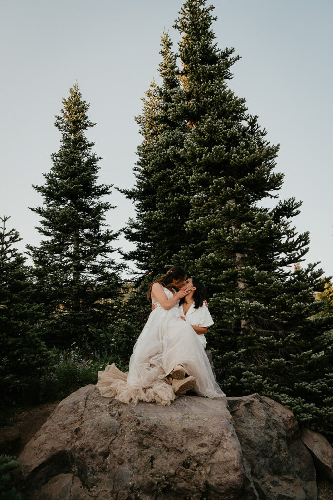 A couple kissing on a rock with pine trees in the background.